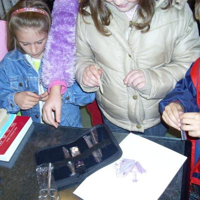 Dissecting Kit